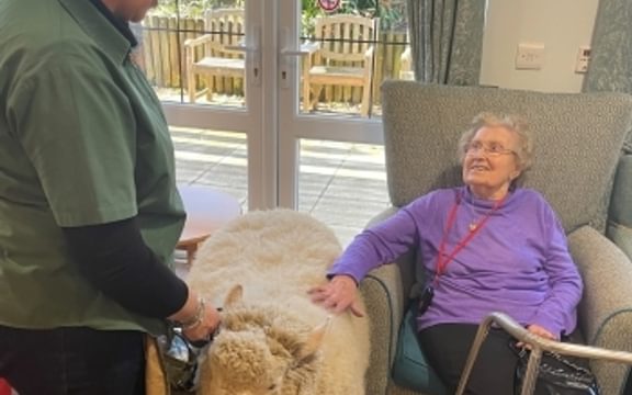 Resident at Parris Lawn Care Home in Lewes with Sheep