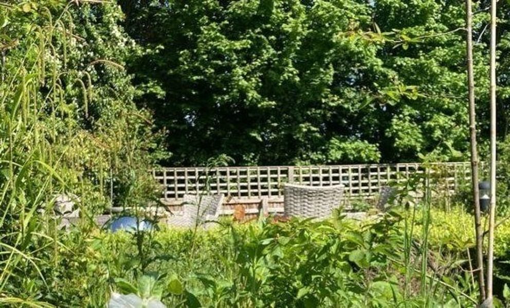 The benefits of outdoors for residents at Caring Homes