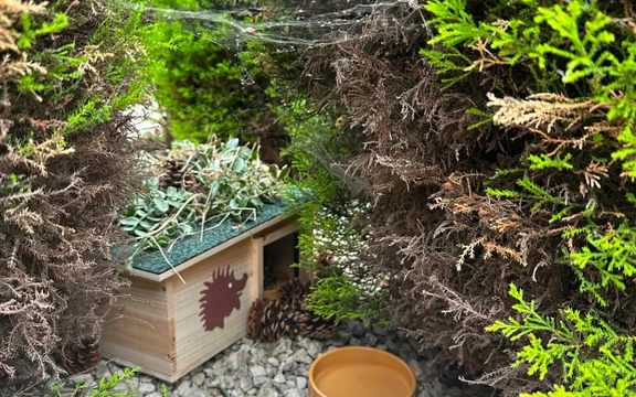 Hedgehog house in position in care home garden