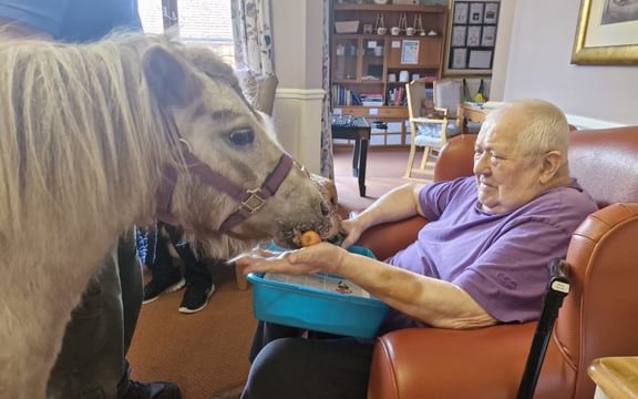 Care home resident feeds a carrot to a mini pony