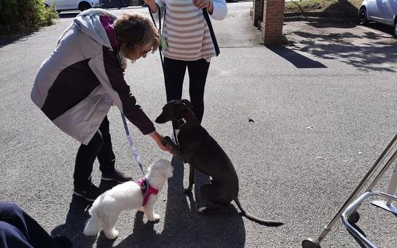 Daisy greeting a guest at The Orchard Nursing Home in St Albans