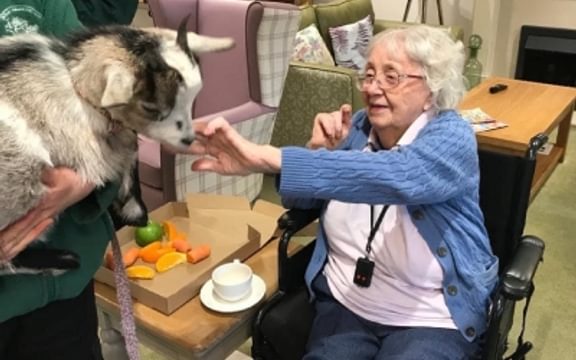 Resident meets a goat