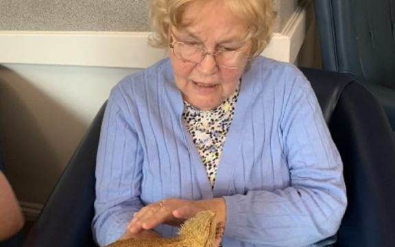 Resident at Whittington House Care Home in Cheltenham meet exotic creatures