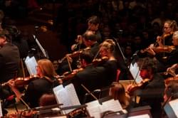 Photograph of the CBSO's violinists performing on-stage at Symphony Hall