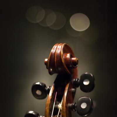 Close-up photograph of the scroll of a cello.
