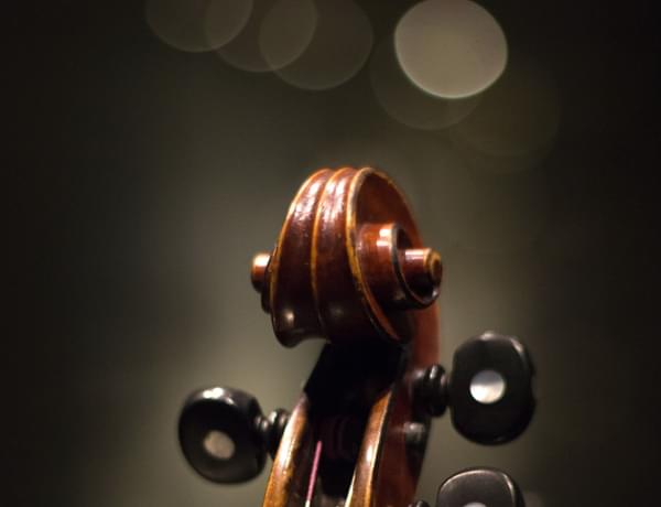 Close-up photograph of the scroll of a cello.