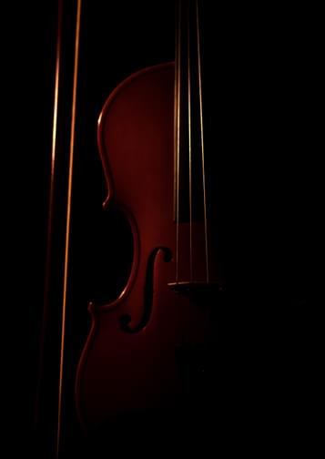 Close-up photograph of a violin