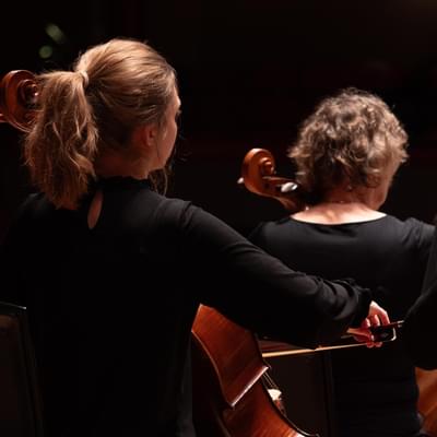 CBSO cellists from behind playing at concert
