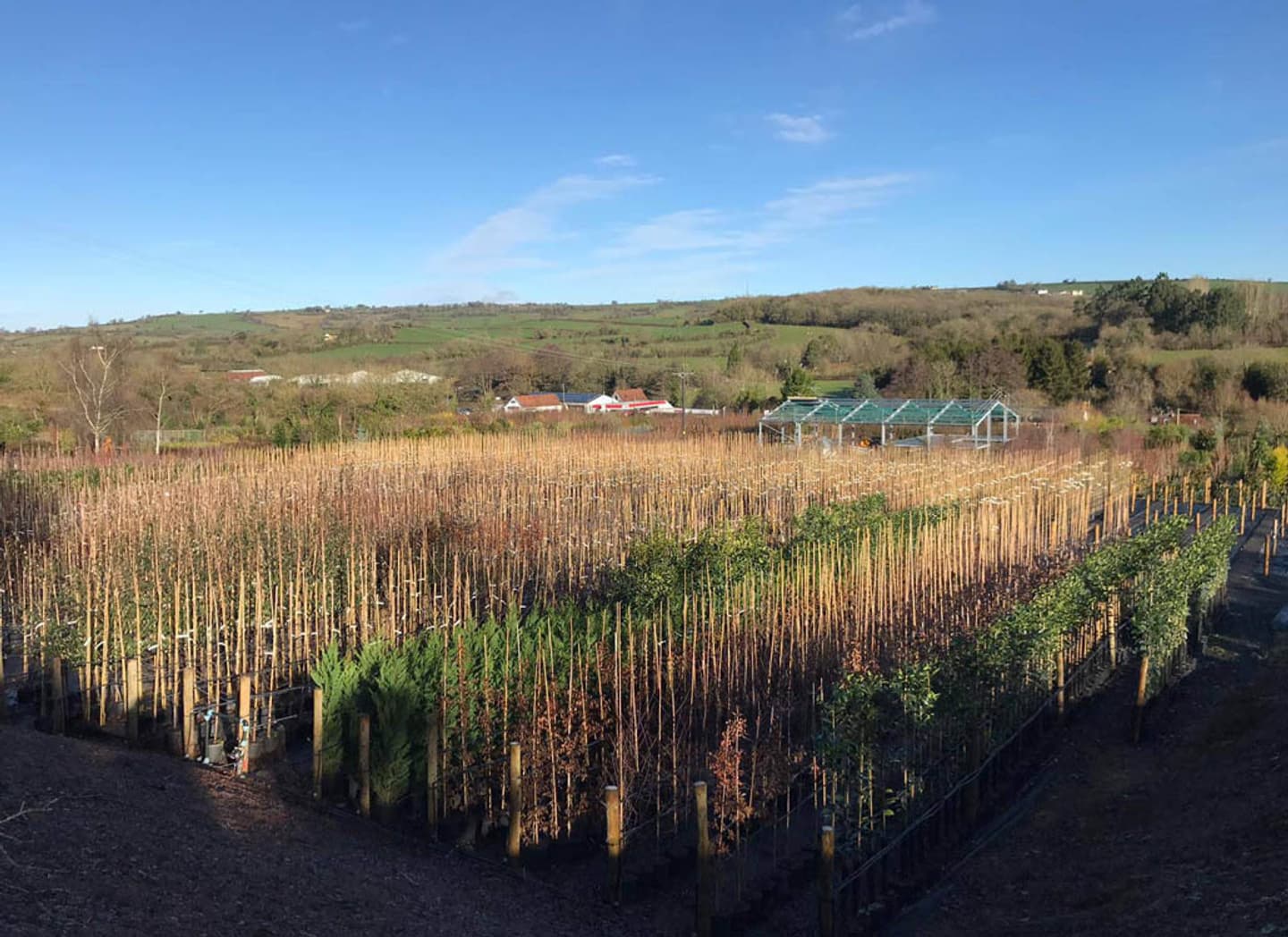 Nursery view sunshine 1030