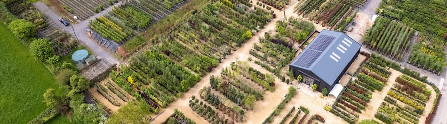Visit the nursery | Chew Valley Trees