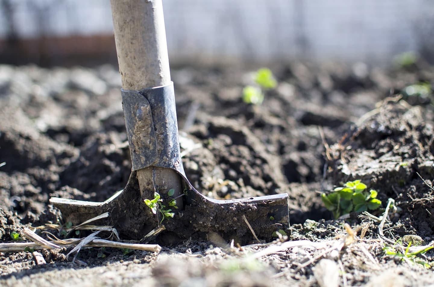 Spade dig plant hole soil