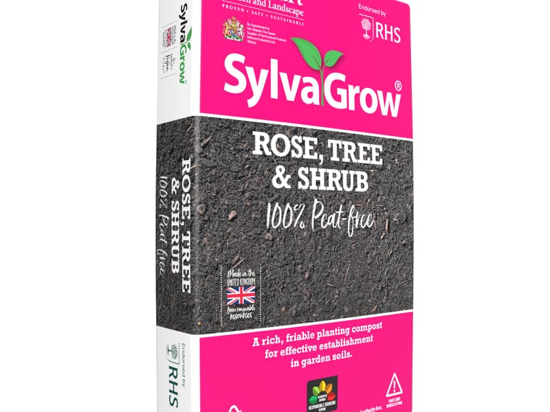 7657 3 D Rose Tree Shrub 40 L 50601578115651