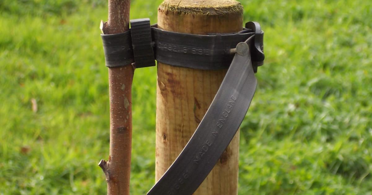 Single Stake Pack - Single Stake Pack | Chew Valley Trees