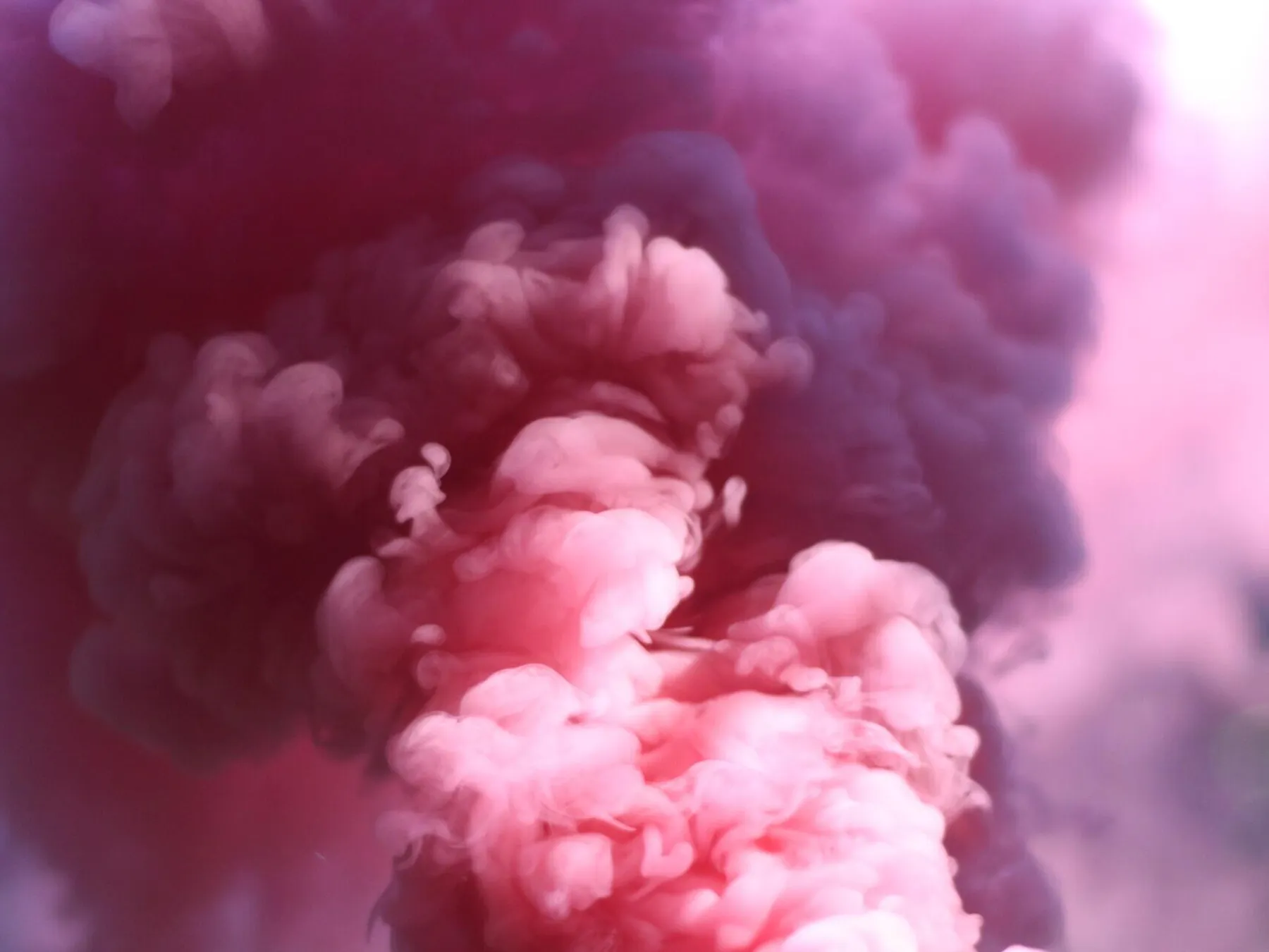 Austin chan 8 NHL3 OI5e Wc unsplash min
