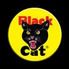 Black Cat Fireworks