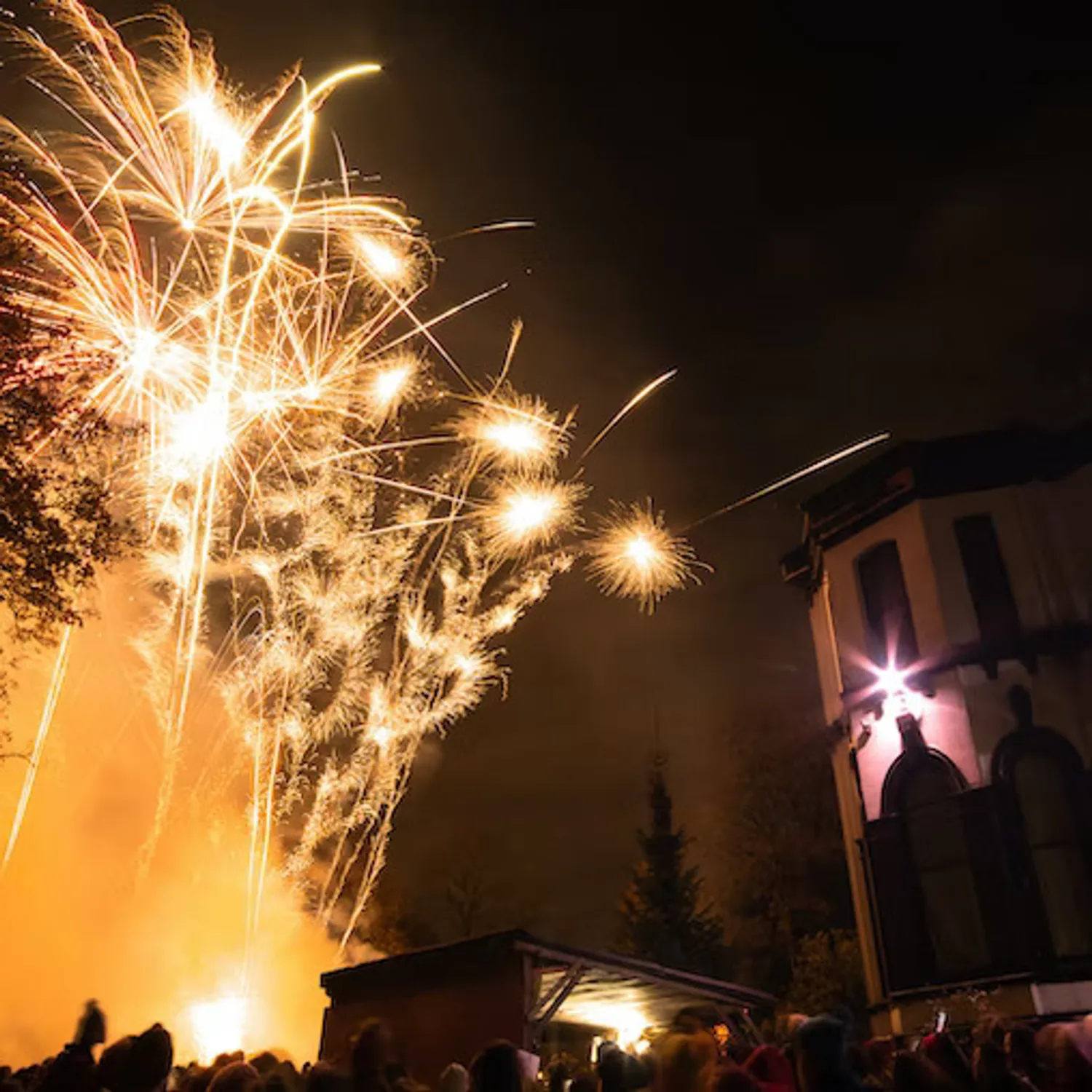 Carlton club fireworks night