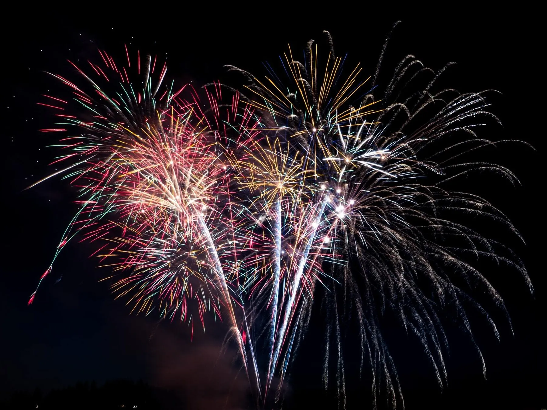 Elisha terada b4ppn1 Ssgw unsplash 1