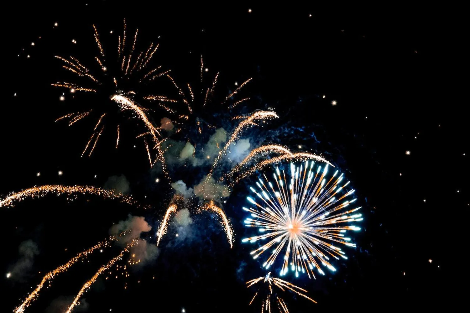 Fireworks in night sky