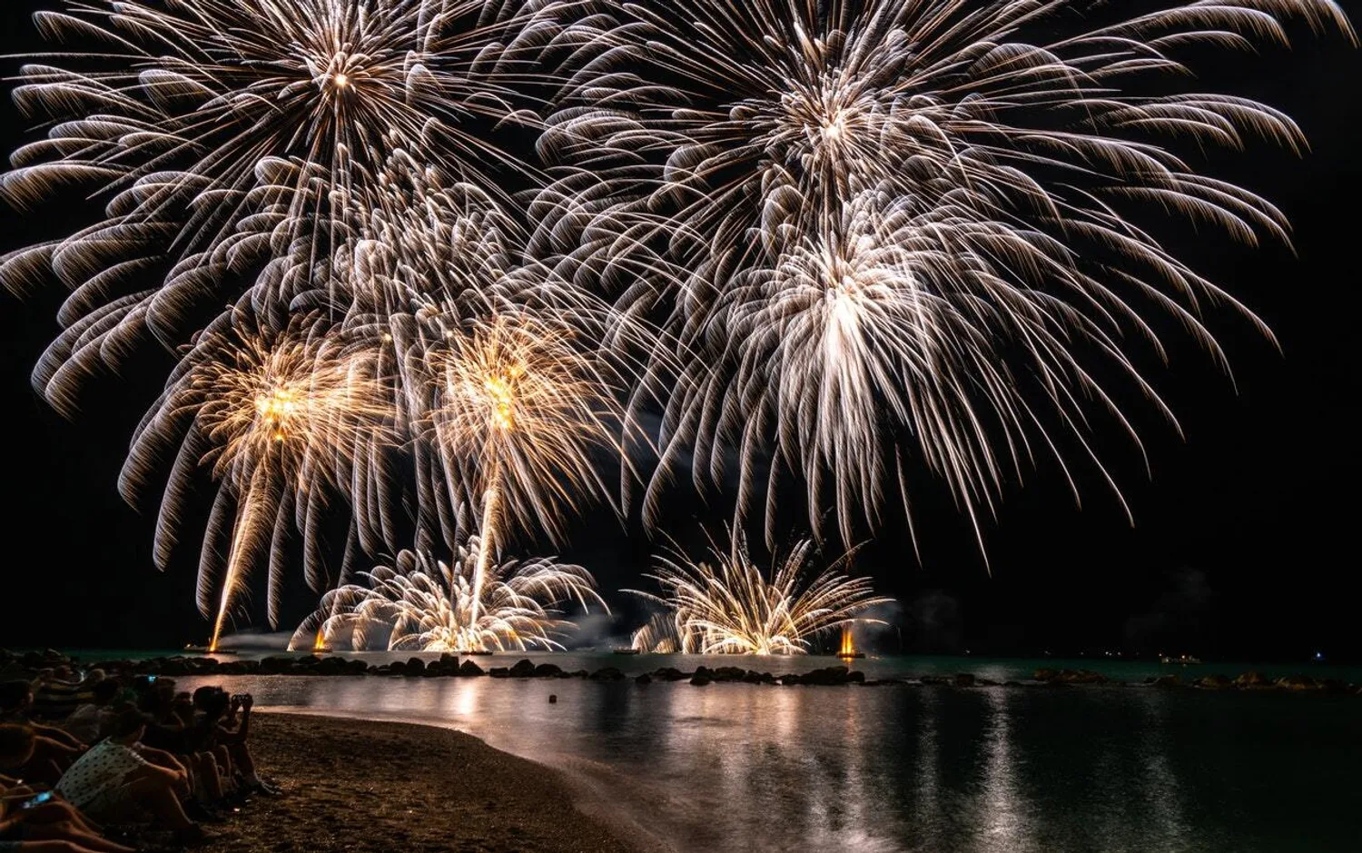 Pexels vitalko 1573716