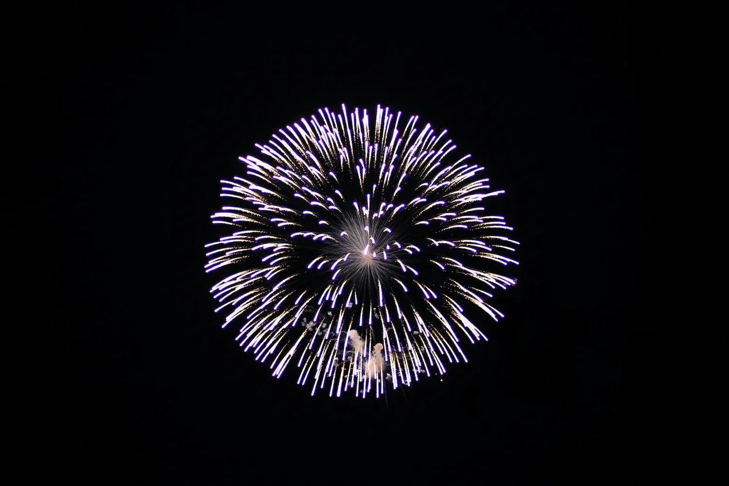 Single firework burst in sky