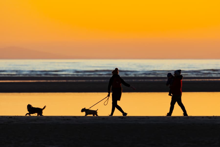 Dog Friendly Beaches at Newborough Anglesey
