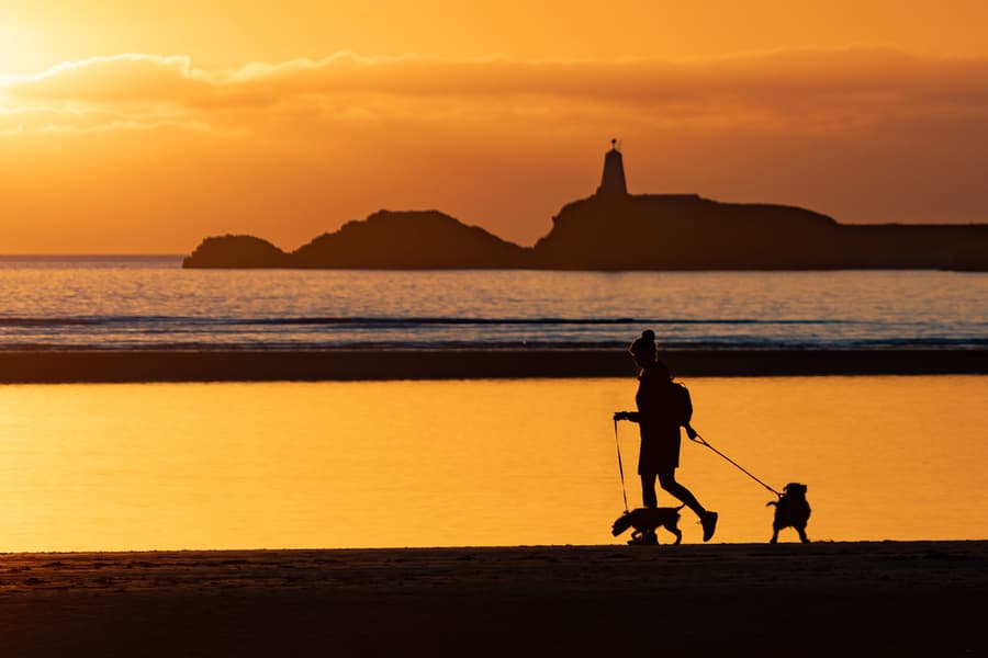 Dog Walkers at Newborough Beach