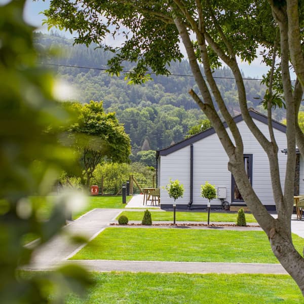 Our lodges are in lush, green surroundings