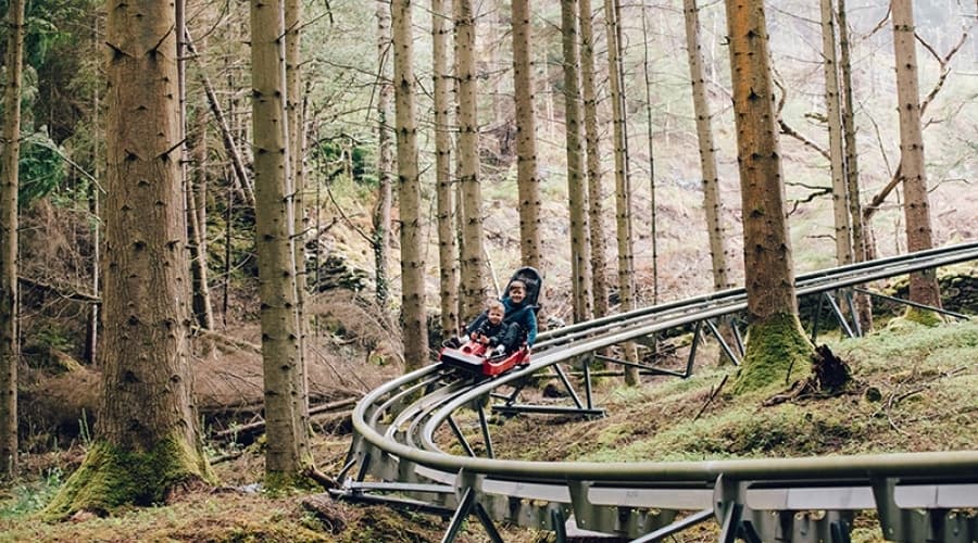 Zip World Fforest