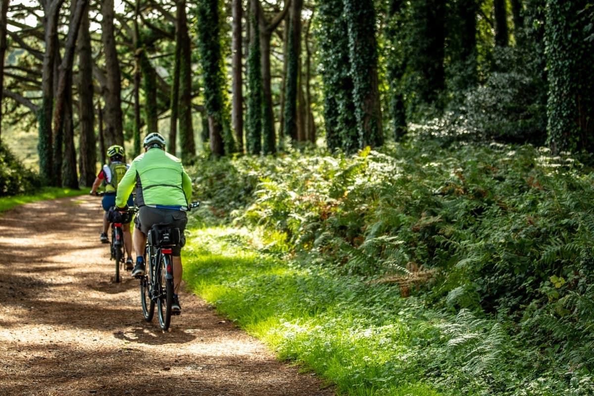 Mountain Bike | The perfect destination for mountain bikes, tours, and adventures