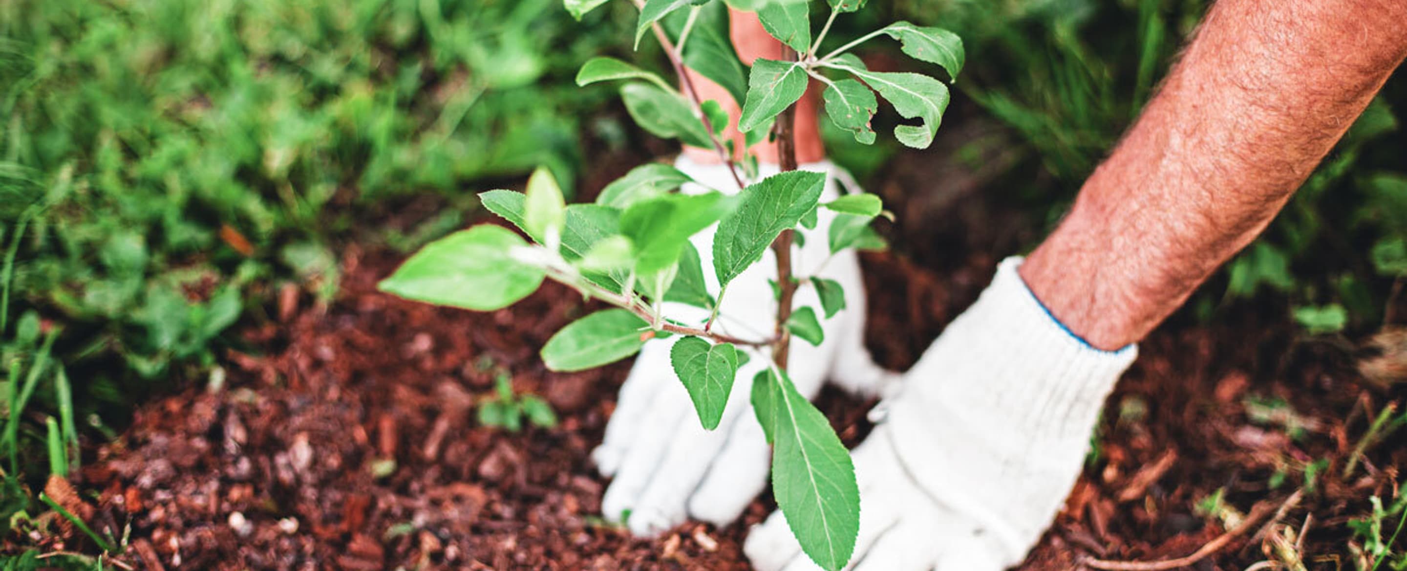 How to go green with upselling at your hotel 2