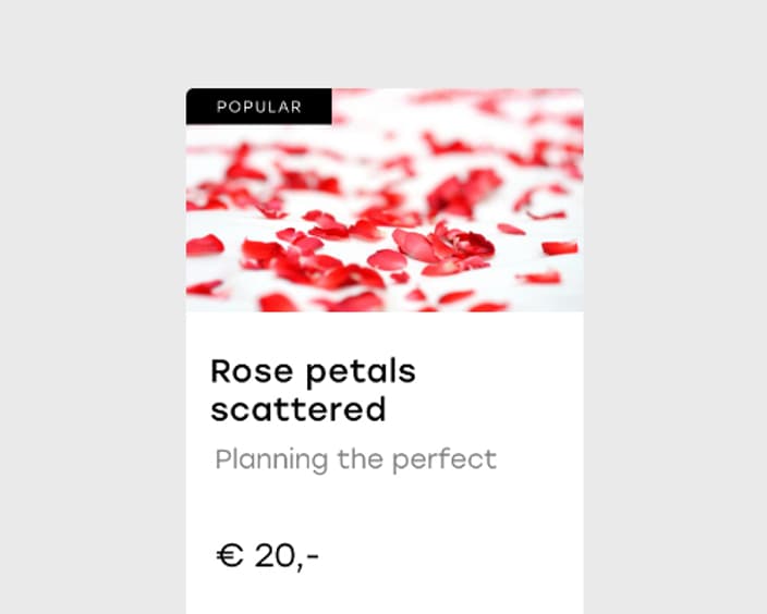 Rose petals scattered 2x