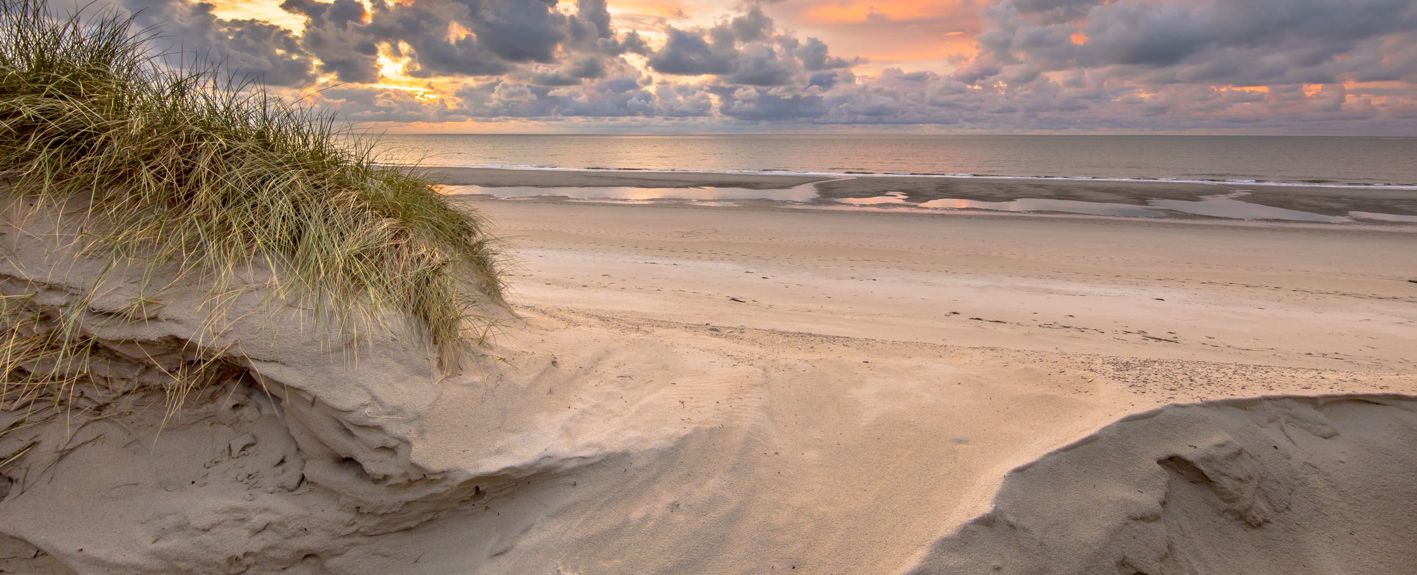 Dune view on north sea PTFX6 RE