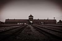 Auschwitz Gradient