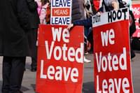 Vote Leave protest edited