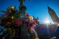 Westminster Flower Tribute Edited 1