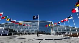 Image: Alexandros Michailidis / Shutterstock