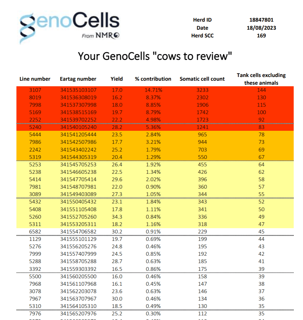 Example GenoCells Report