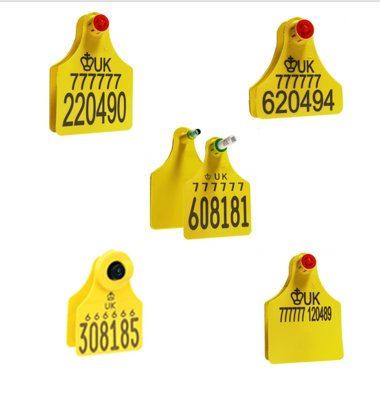 Nordic Star eartags now available