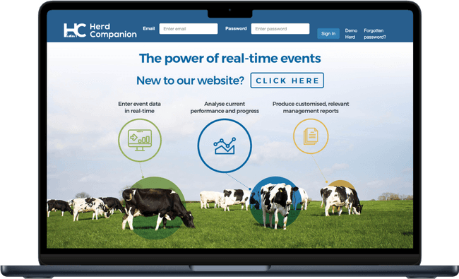 A demonstration of Herd Companion.