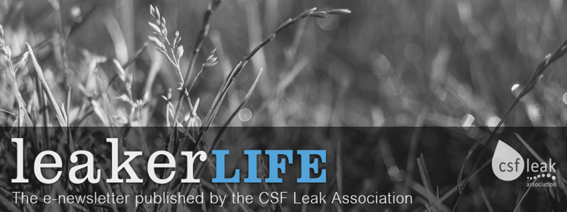 The e-newsletter from the CSF Leak Association