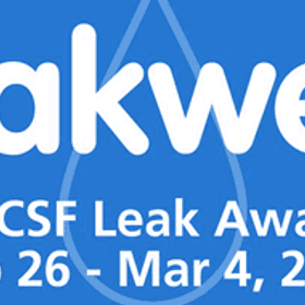 Banner advertising Leak Week 2017.