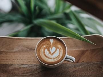 Foto von Kaffee mit Milchschaum Herz grüne Pflanze