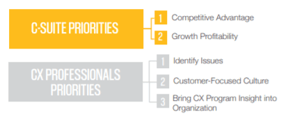 CX professionals and the C-Suite CX professionals and the C-Suite