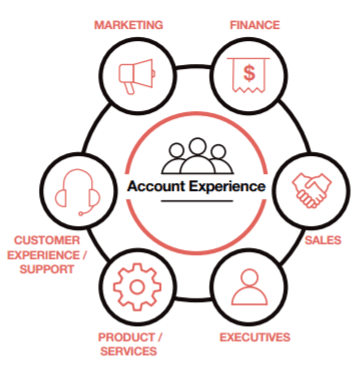Account Experience Account Experience