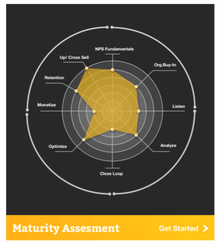 Maturity Assesment