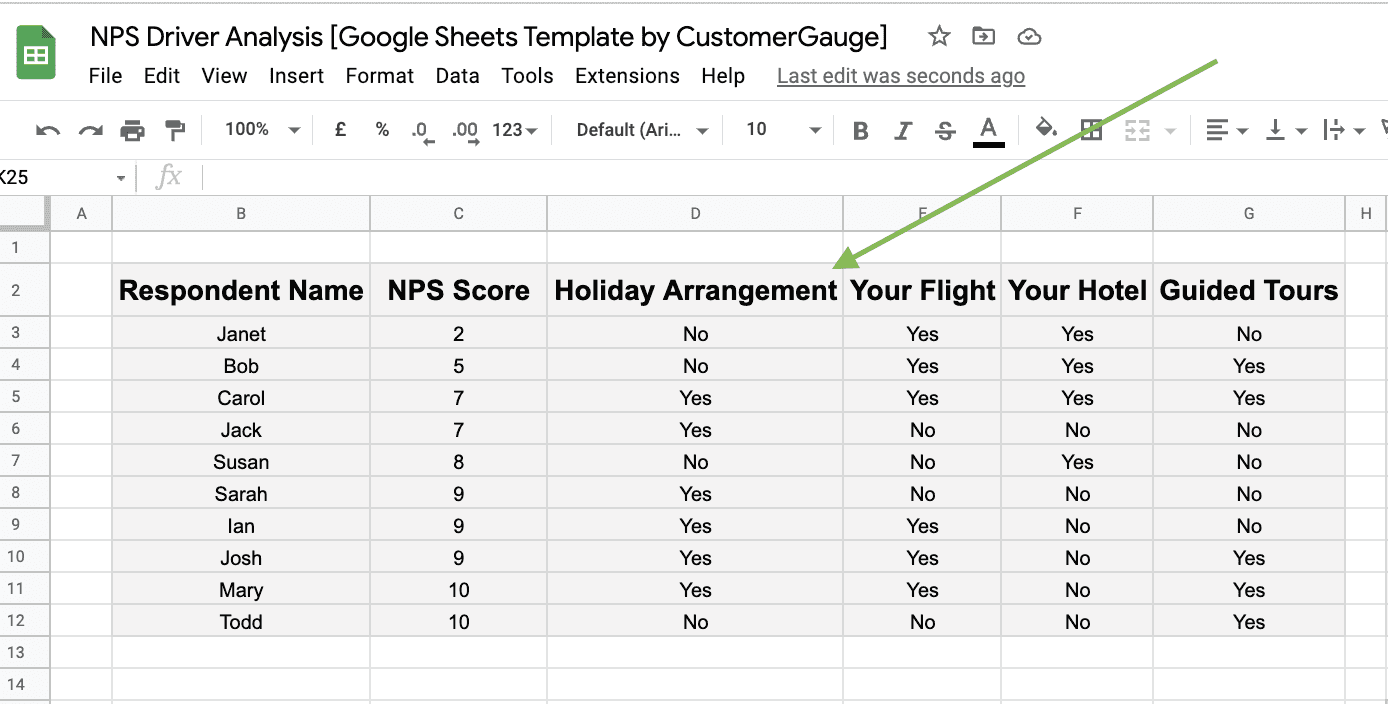NPS Driver Analysis Excel Sheet
