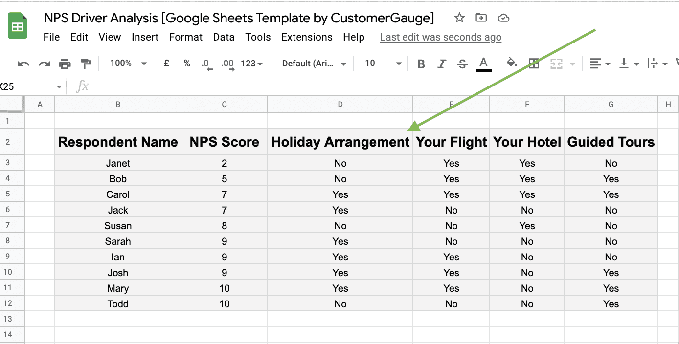 NPS Driver Analysis Worksheet
