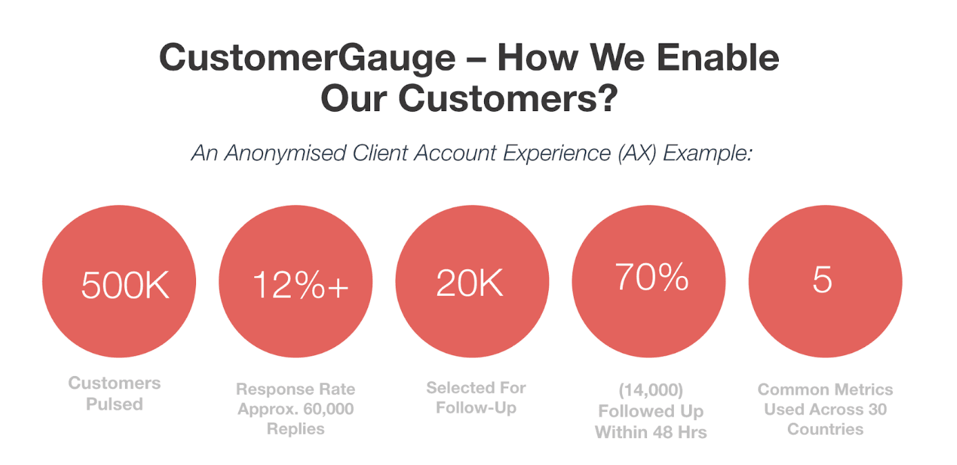 CustomerGauge Customer Example