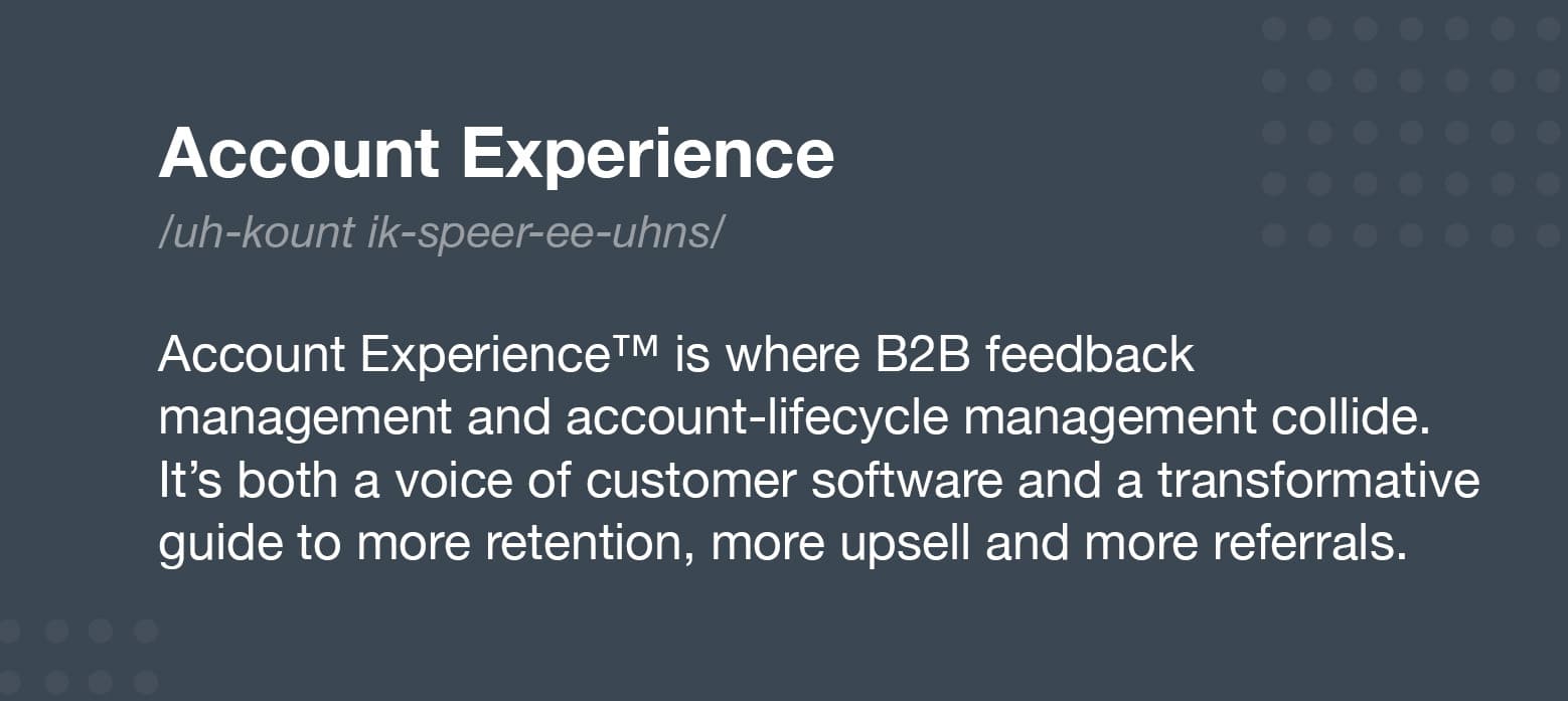 CustomerGauge's Account Experience Definition