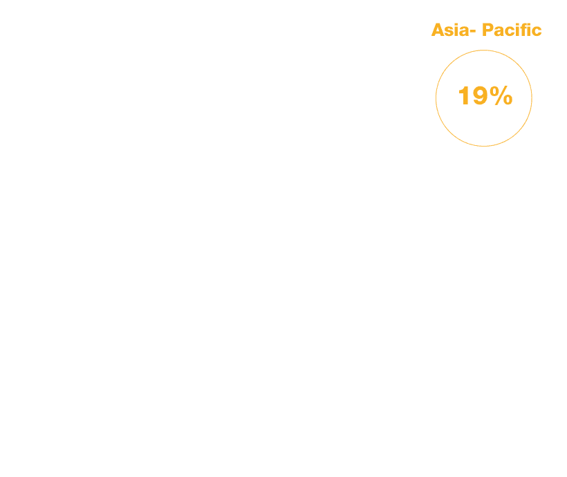 19% Asia-Pacific